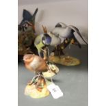 20th cent. Royal Crown Derby bird figures, "Robin", "Blue tit" and "Budgerigars". (3).