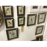 Pam King: Ornithological studies, watercolour on paper, Robin, Wren, Chaffinch & Blue Tit. Framed