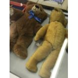 Steiff Bear: "Molly Teddy 19ins. & A Merrythought bear. 22ins.