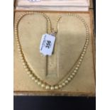 Jewellery: Cultured pearl necklace with 9ct. gold clasp. Boxed. 50ins. unclipped length.