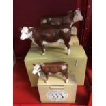 20th cent. Ceramics: Border Fine Arts, Hereford Bull (A4580), Hereford Cow (A4588), and Hereford