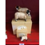 20th cent. Ceramics: Border Fine Arts, Swaledale Ewe (A4614), Swaledale Tup (A4588), with a