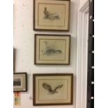 20th cent. Prints: After Amos Stage, British wildlife, male and female pheasant's 14ins. x 11½