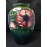 Moorcroft - The Newman Collection: c1953 Green ground baluster shaped vase in the anemone pattern,