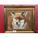 Clodagh Gravos. Oil on board, study of a fox. Signed and dated '85 lower right. Framed. 11ins. x