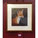 Charles Barrett 1995. Acrylic on board, study of a fox. Signed lower right and dated '99. Framed and