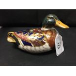 Crown Derby: Imari paperweight Carolina Duck LX.