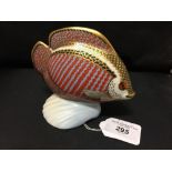 Crown Derby: Imari paperweight Tropical Fish Gourami.