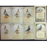 Racing Pigeons: Prize prints from Calne Homing Pigeon Club, three signed by the President Henry