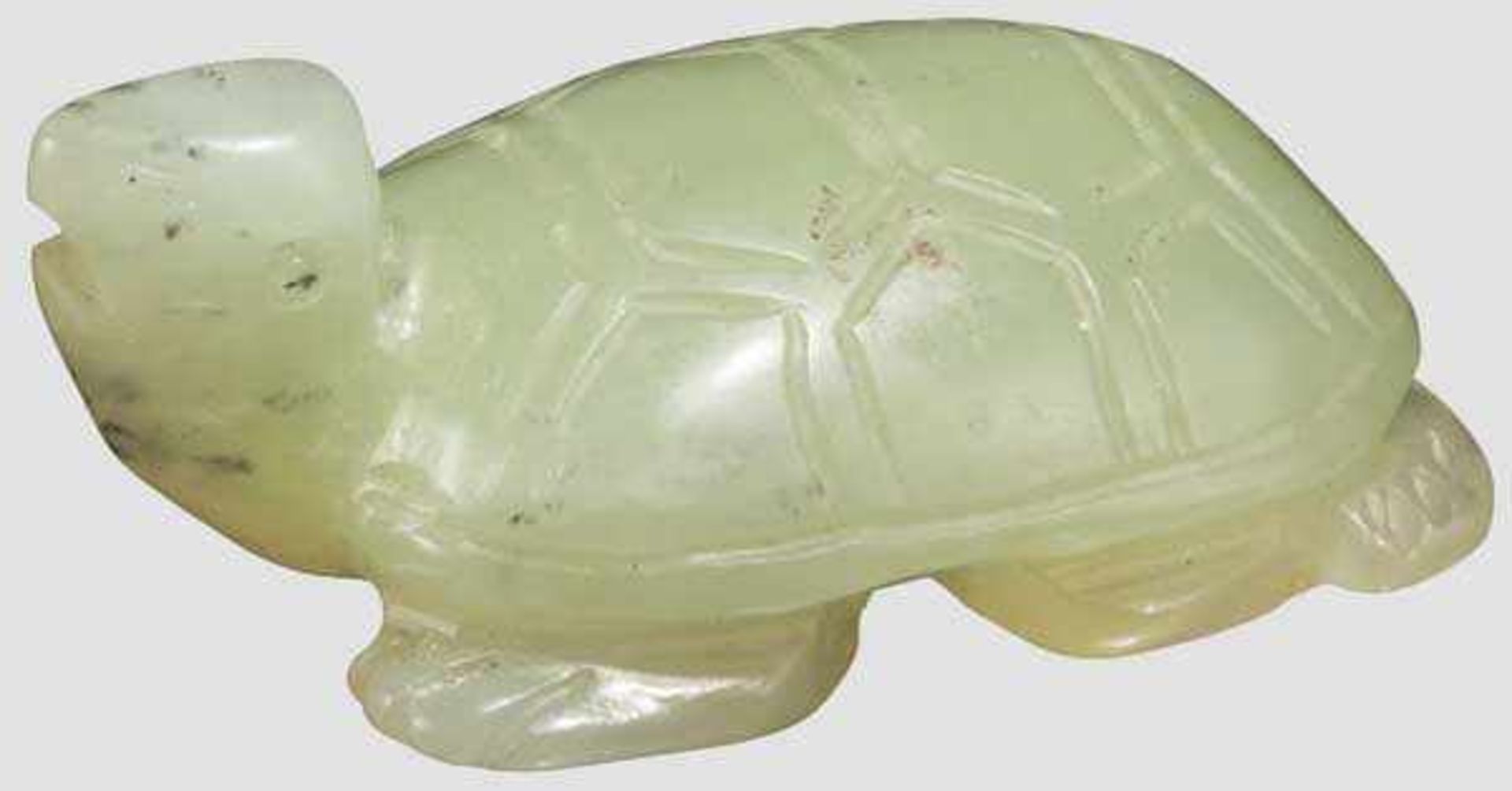 Schildkröte aus Jade, China, 19. Jhdt. Vollplastisch geschnittene Figur einer Schildkröte aus