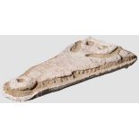 Großer versteinerter Kopf eines Krokodils Gavial Krokodil, Marokko, Alter ca. 100 Millionen Jahre.