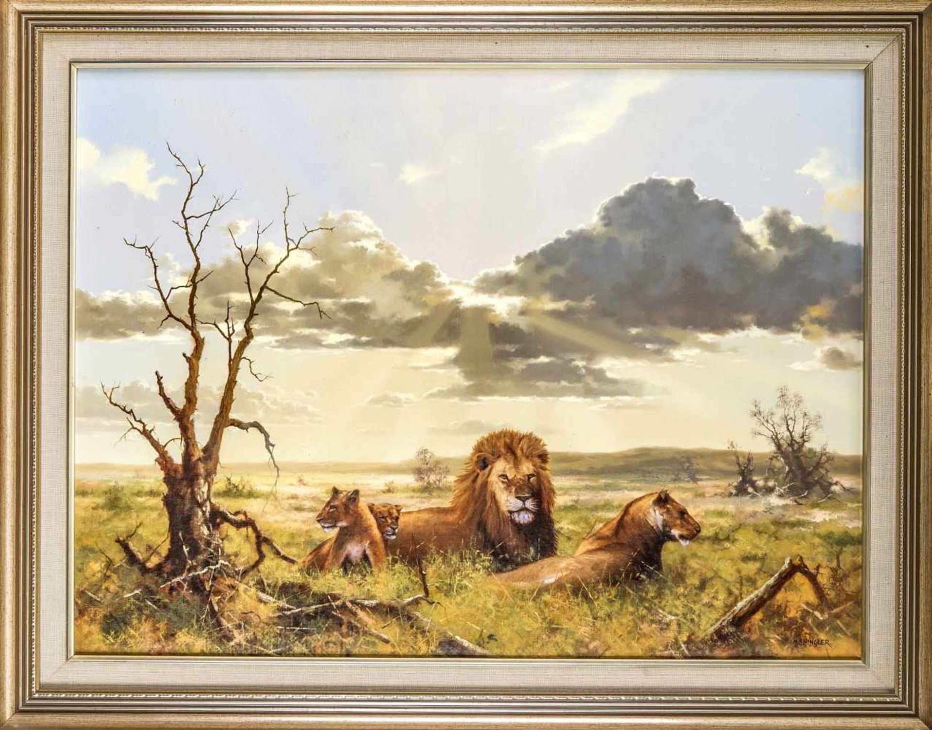 Howard Shingler (*1953), Britischer Maler, Löwenfamilie in der Savanne, Öl/Lwd., signiert unten
