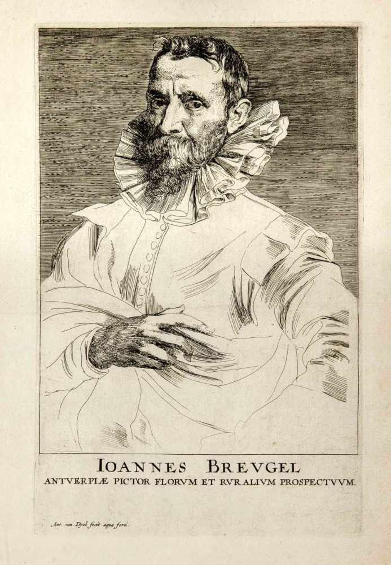 Anthonis van Dyck (1599-1641), nach, u.a., Konvolut von 35 Portrait-Kupferstichen, zumeist aus "