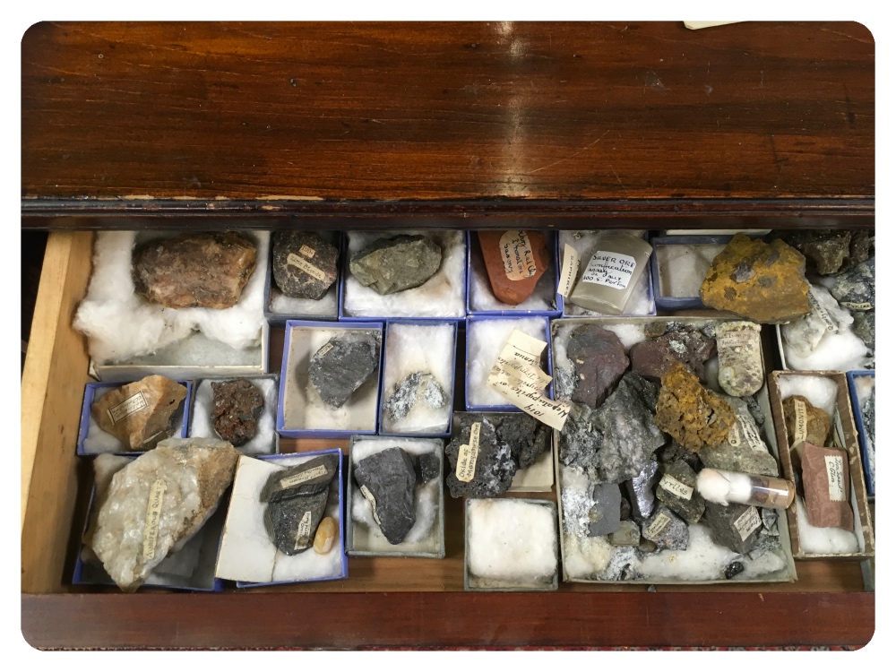 A COMPRESSIVE FOSSIL AND MINERAL COLLECTION, - Image 2 of 4