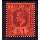 SIERRA LEONE: 1903 £1 OG, SG 85, (1983 S