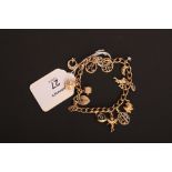 A charm bracelet, the curb pattern bracelet suspended with numerous charms, including a diamond
