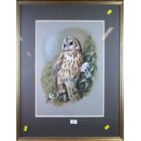 Terence James Bond (Born 1946, British) Study of a tawny owl perched, with head turned to the