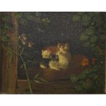Herriett-Rowan (19th century) A cat and kittens, seated upon a cushion in a kennel, with butterfly