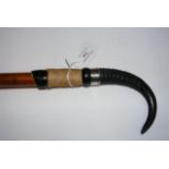 Alpine walking cane with Chamois horn and hoof han