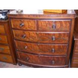 Antique mahogany bow front chest of two short and