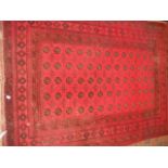 Middle Eastern carpet with geometric border and re