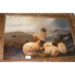 A 19th century oil on canvas of highland sheep - s