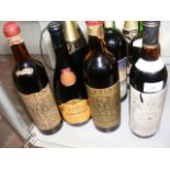 Ten bottles of assorted wines and other, including