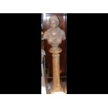 Terracotta style classical female bust on column