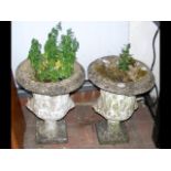 Pair of decorative garden urns