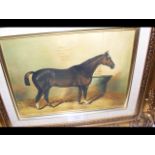 Modern oil on panel - race horse in stables - 20cm