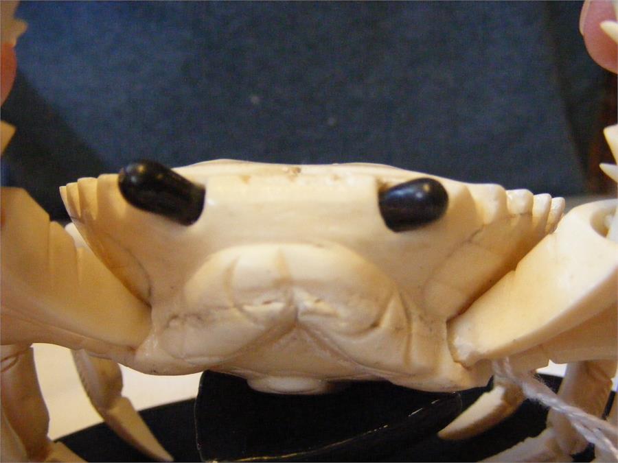 A carved oriental ivory articulated crab on wooden - Image 7 of 8