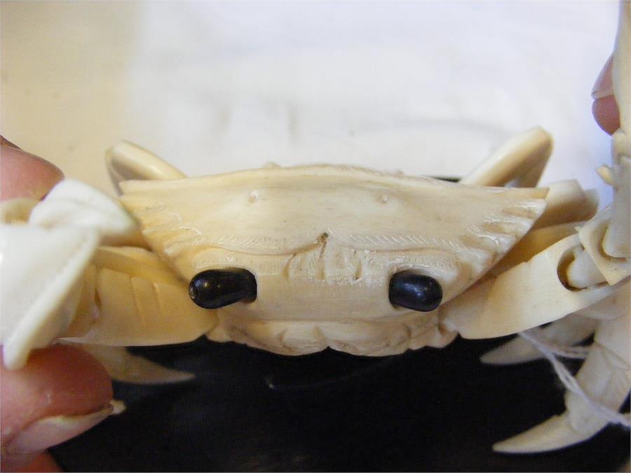 A carved oriental ivory articulated crab on wooden - Image 8 of 8