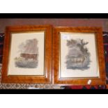 Pair of antique engravings in Birds-Eye maple fram