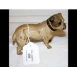 A cold painted bronze figure of a Bulldog