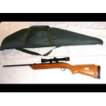 A BSA .177 calibre air rifle with scope and bag