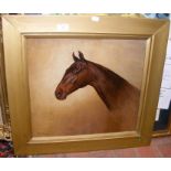 Oil on canvas portrait of horse by HAIGH - 1907