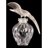 A LARGE LALIQUE SHOP DISPLAY PERFUME BOTTLE having two doves to the lid on a swirl body 31cm high