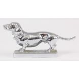 A MID 20th CENTURY CHROME PLATED CAR MASCOT formed as a dachshund, stamped “LL” to underside 11cm