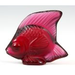 A LALIQUE MAUVE MOULDED GLASS TROPICAL FISH – in original fitted case 5cm high 5.5.cm wide.