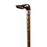 AN EARLY 20th CENTURY CARVED COROMANDEL DOGS HEAD HANDLED WALKING CANE formed as a greyhound with