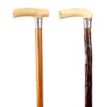 TWO LATE 19TH CENTURY IVORY HANDLED WALKING STICKS with silver mounts one malacca and the other