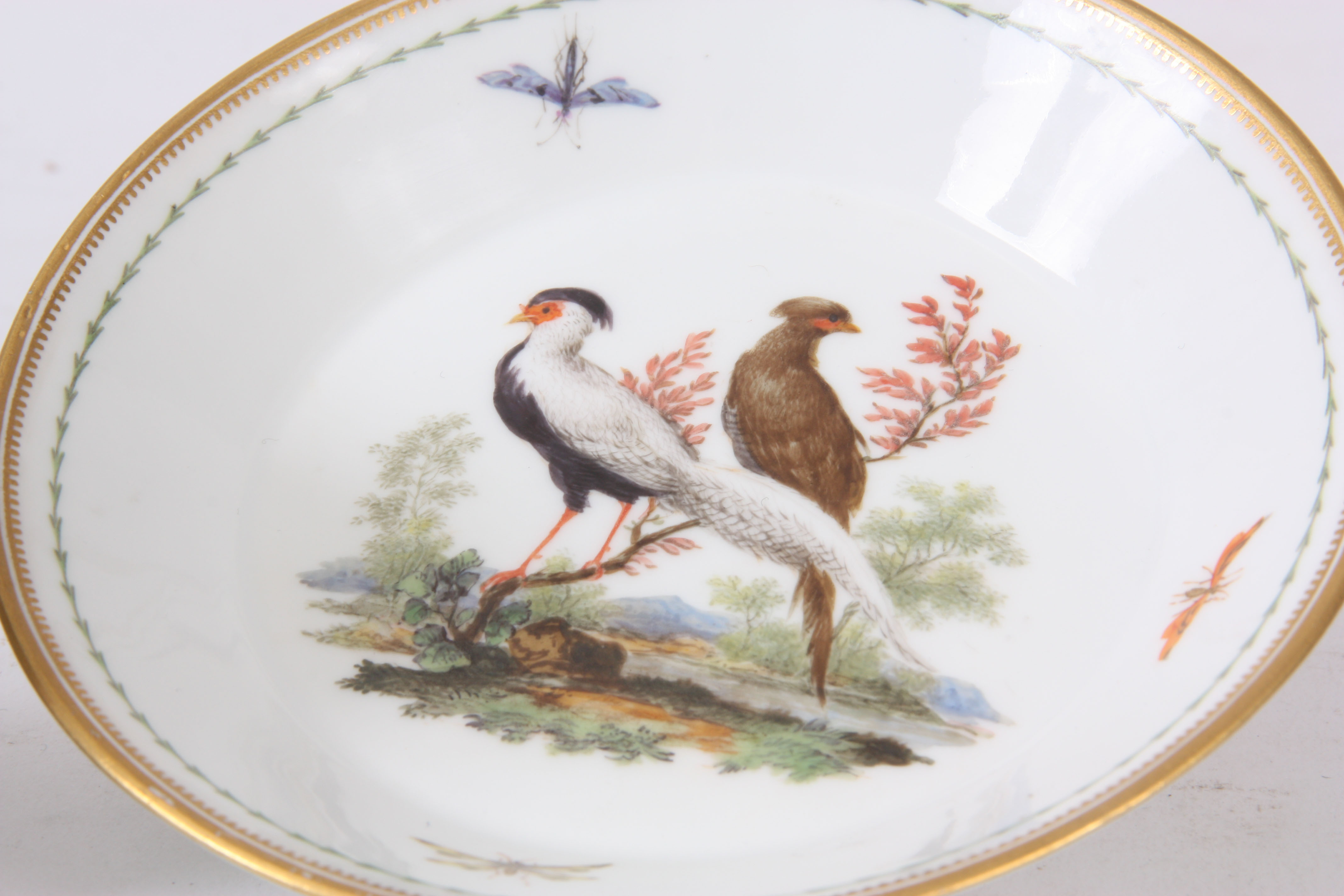 AN 18th CENTURY MEISSEN MARCOLINI PERIOD CABINET COFFEE CAN AND SAUCER finely decorated with cock - Image 3 of 5