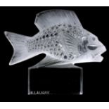 R. LALIQUE, BARBILLION PAPERWEIGHT modelled as a Fish 9.5cm wide etched signature in capitals R.