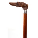 AN EARLY 20th CENTURY CARVED WOODEN DOGS HEAD HANDLED WALKING CANE formed as a lurcher with amber