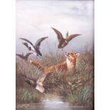 AN EARLY 20th CENTURY HAND PAINTED PORCELAIN PLAQUE of a fox startling ducks off a pond 14.5cm