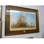 Framed print 'Last Leaves of Autumn' by David Shepherd OBE signed in Pencil