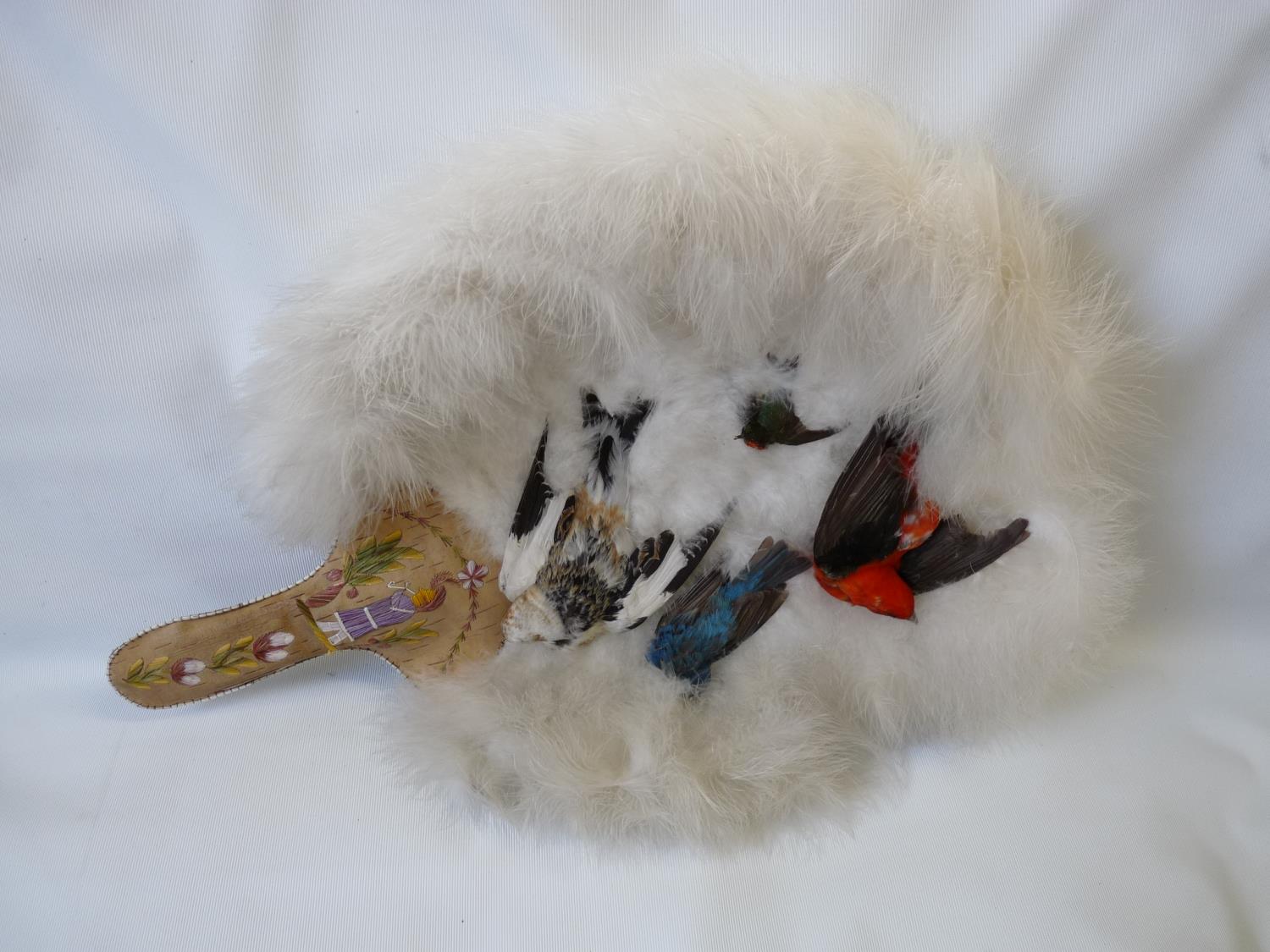 Interesting Huron American Indian Handmade taxidermy Fan decorated with various birds