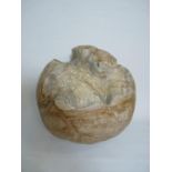 Balinese Rustic white washed wooden root ball. 33cm in Diameter