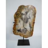 Triassic Polished Period Petrified Wood mounted on black metal base