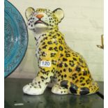 A model leopard